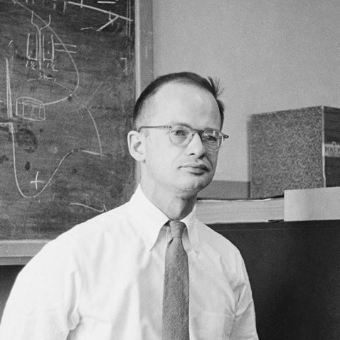 Walter Pitts